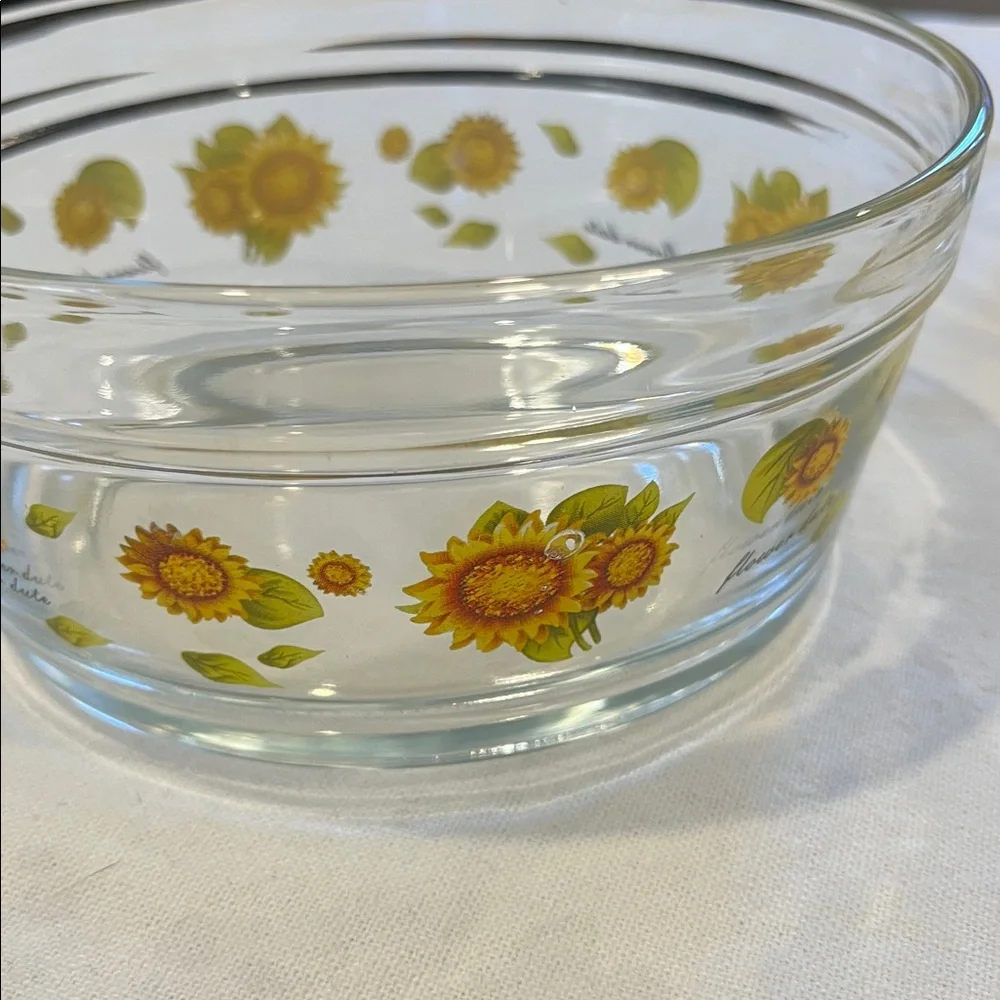 Glass Bowl Set